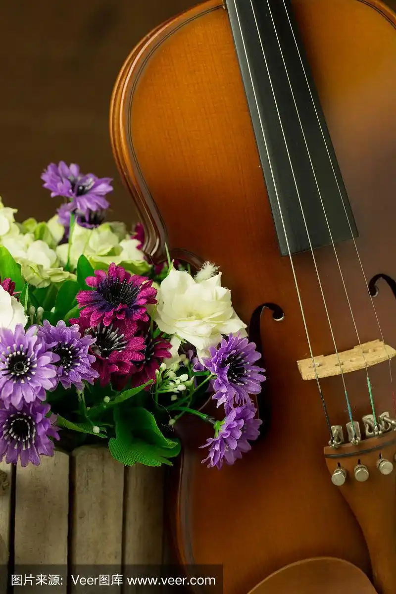 古董小提琴与旧钢背景与花