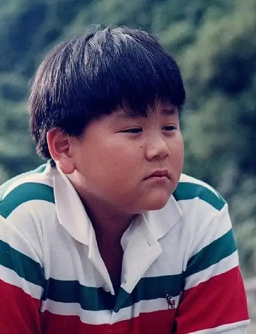 彭于晏的"消失",是娱乐圈的"悲哀"和损失_网易订阅