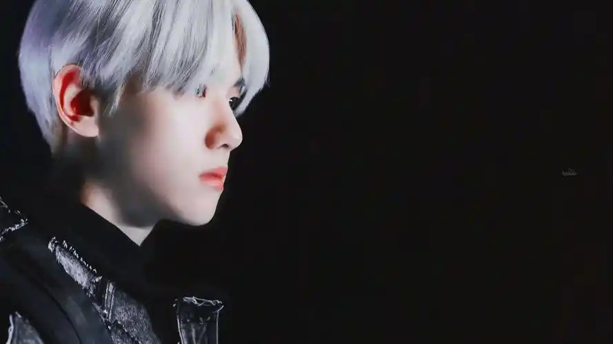 边伯贤. - 堆糖,美图壁纸兴趣社区