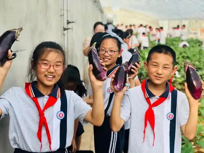 文明校园风采展临猗东康新教育学校