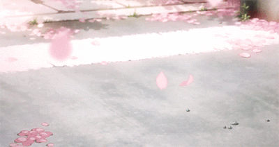 樱花飘落的动图 - 堆糖,美图壁纸兴趣社区