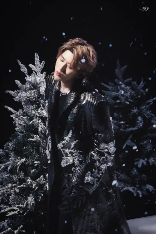 蔡徐坤雪景梦舞台