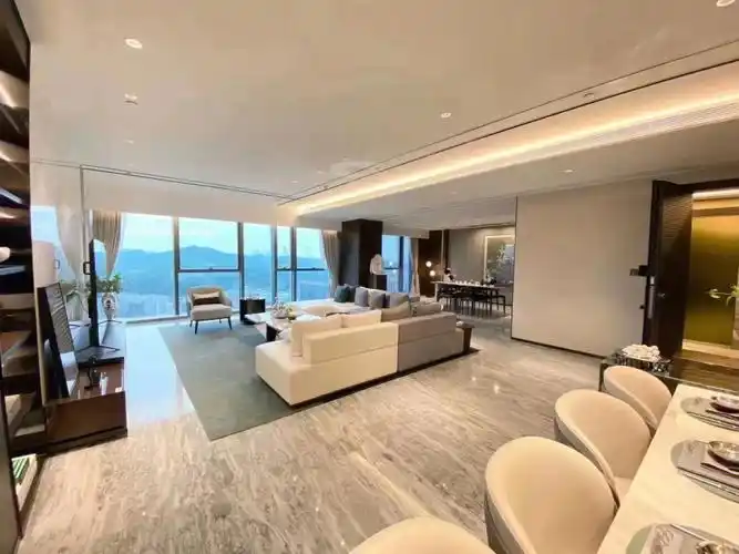 95白云之窗 95深圳湾1号同款 67240-320㎡,四至五房轻奢大平层