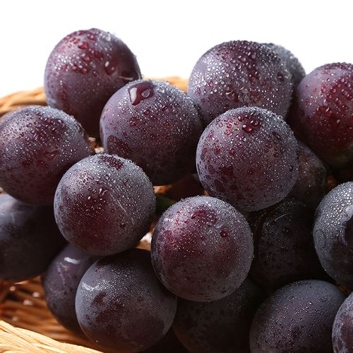 乒乓葡萄700g葡萄