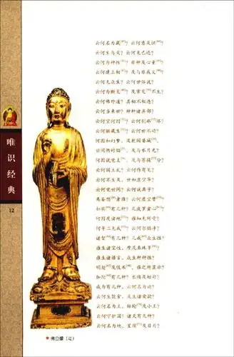 插图:     楞伽经卷一 之下     复次大慧,若菩萨摩诃萨,欲知自心