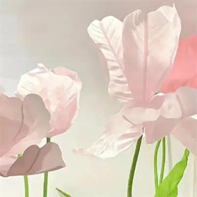 小清新唯美白色花朵意境风景头像