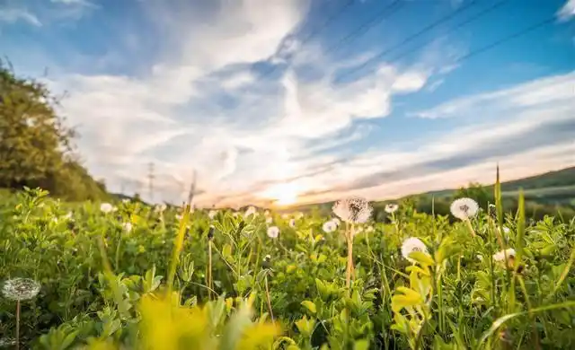 朋友圈简短戳心的一句话心情说说唯美风景意境图片