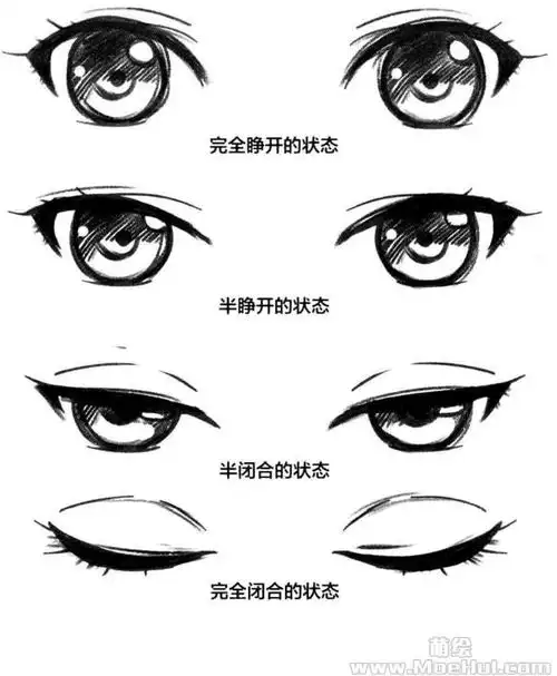正面眼睛的闭合方式很多初学者容易将半闭合眼睛的高光也画成正圆形