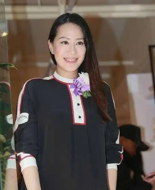 汪诗诗不是甄子丹的第一任妻子,他的第一任妻子是梁静慈.
