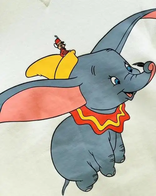 点此购买 罗意威×小飞象男女款纯棉毛圈卫衣 云138168