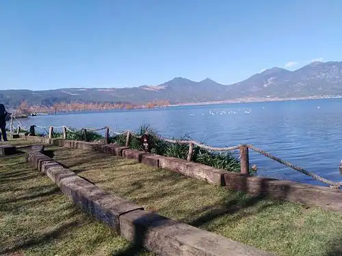 刘子涵的2018年寒假生活