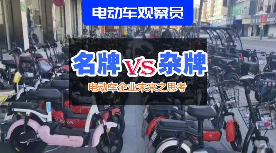 电动车观察员认为, 未来的行业只有两类品牌并存,名牌和杂牌