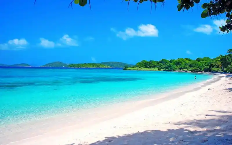 蓝天白云夏日唯美海滩风景桌面壁纸下载,高清壁纸,沙滩,大海,森林