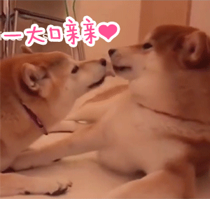 张艺兴动图亲亲