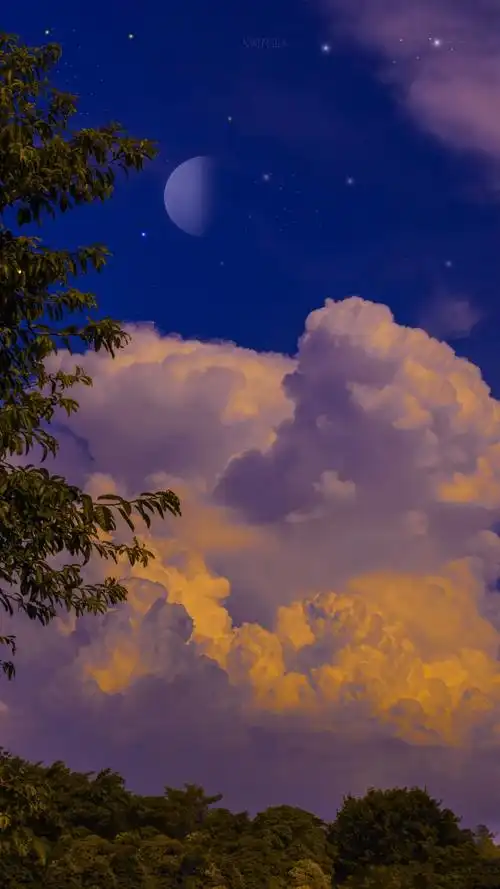 有没有什么微信聊天背景好看又不影响看消息的图片