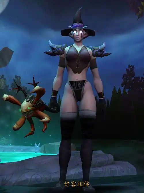 我觉得暗夜精灵法师很性感啊怎么全是血精灵呀