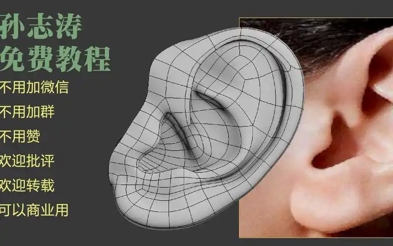 写实耳朵建模