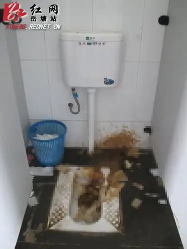 厕所内"脏,乱,差"的现象让人反胃