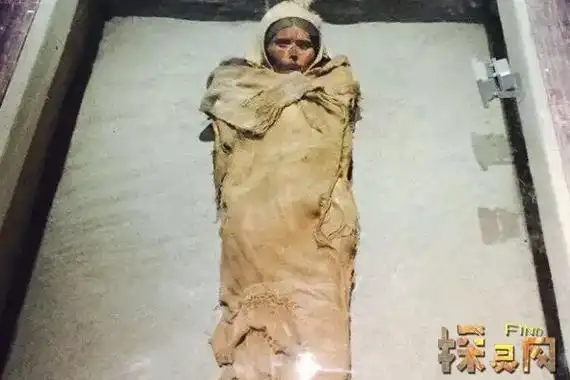 罗布泊恐怖生物照片1978食人蜥蜴事件被核武器消灭