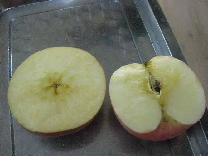 " 6,把不同的水果依次切成两半,请幼儿观察水果的内部结构,并说说果肉