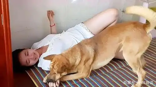 为什么单身美女喜欢养狗?还都是大型犬,美女含羞道出真相