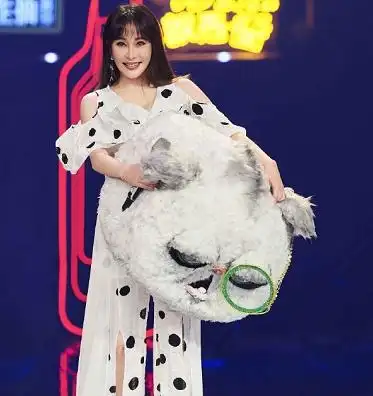 蒙面唱将重现《屋顶》,吴宗宪提周杰伦,侯佩岑的回应笑翻全场