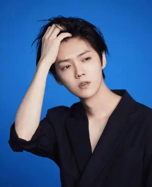 鹿晗,一个名字,一个闪耀在娱乐圈上的明星.