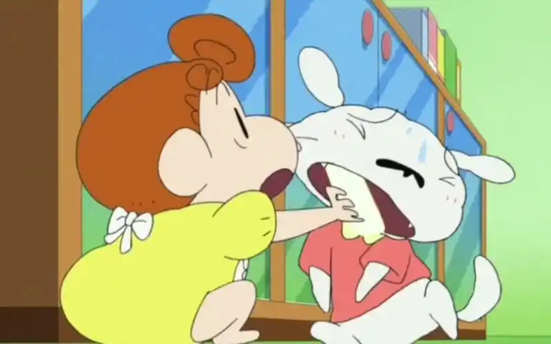 小葵与小白分享美味食物