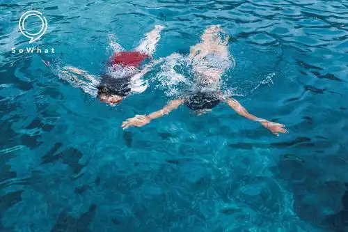 来到东莞这个世外桃源,感受着仿佛置身于国外的晴天.