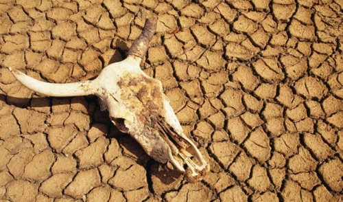 只需要几天所有的动物就会因为缺水而死亡,只需要几周的时间,地球上