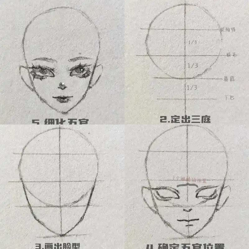 五官定位 #零基础学画画 #脸部绘画教程  更新啦! - 抖音