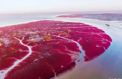 [博海拾贝1003]红色是古典