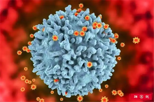 世界十大恐怖病毒排名登革热病毒至今没有可预防疫苗