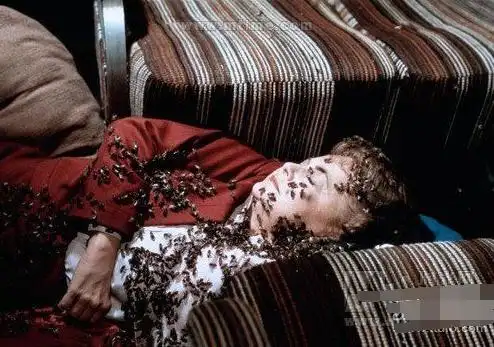 世界上最毒的动物排行榜蚊子竟然居第一