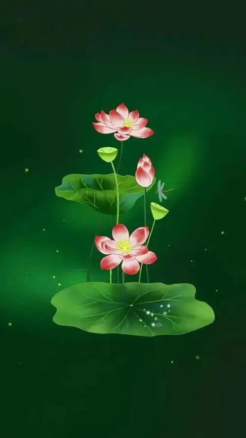 清新绿色护眼荷花壁纸