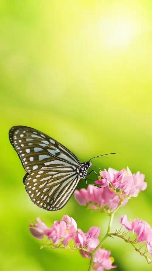 1080_1920竖版 竖屏