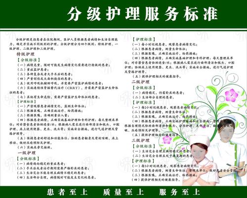 209海报印制展板素材957分级护理标准