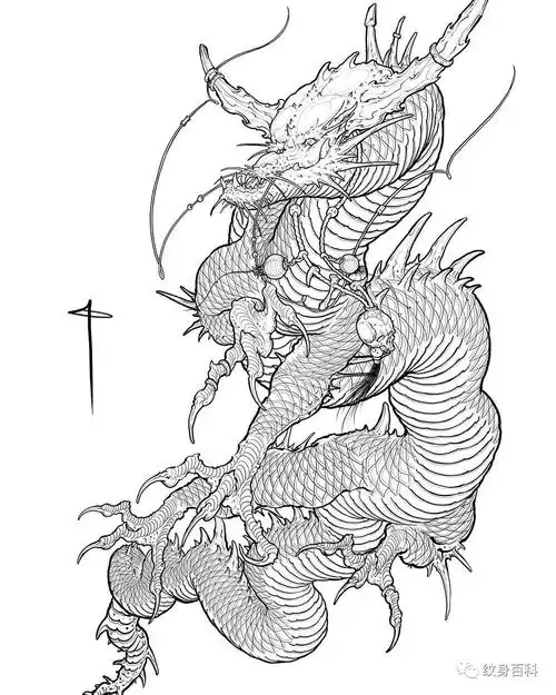 纹身手稿 | 龙线稿
