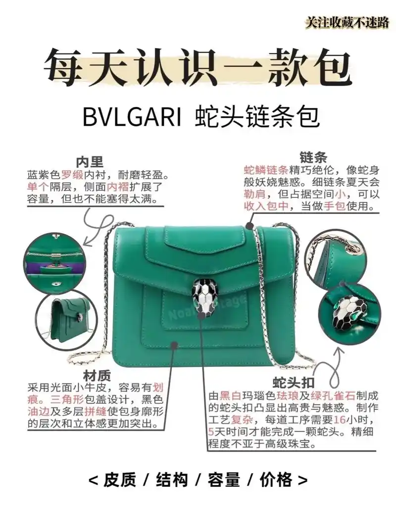 每天认识一款包.bvlgari 蛇头链条包||宝格丽蛇头包一 - 抖音