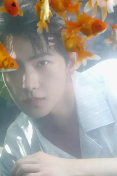 杨洋蓝白纹衬衫##杨洋闻花#杨洋的这身蓝白纹衬衫造型好清爽,蜒炎