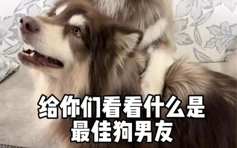 请求老天爷赐我一个这样的男朋友吧