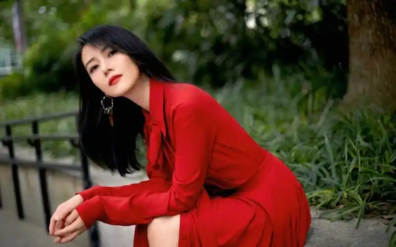 高圆圆优雅妩媚写真桌面壁纸_大陆明星_壁纸下载_美桌网