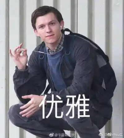 荷兰弟汤姆赫兰德