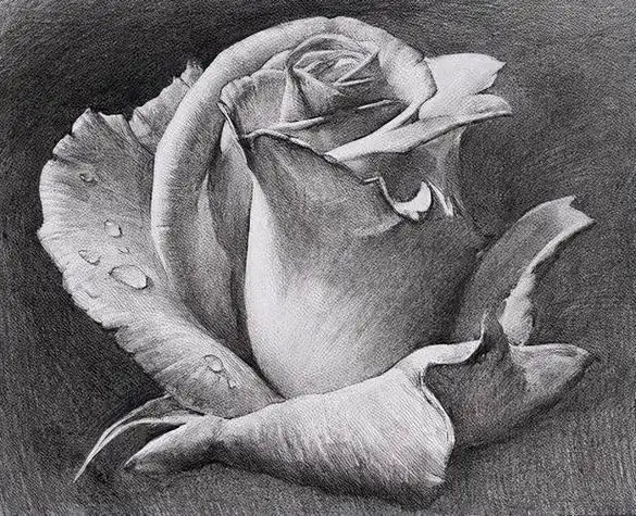 素描绘画图片 简单素描绘画图片