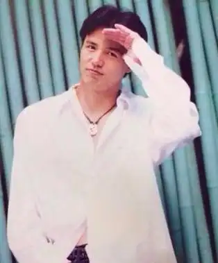 提起林瑞阳,不得不说的是当年他曾是琼瑶剧《一帘幽梦》的男主角,不但