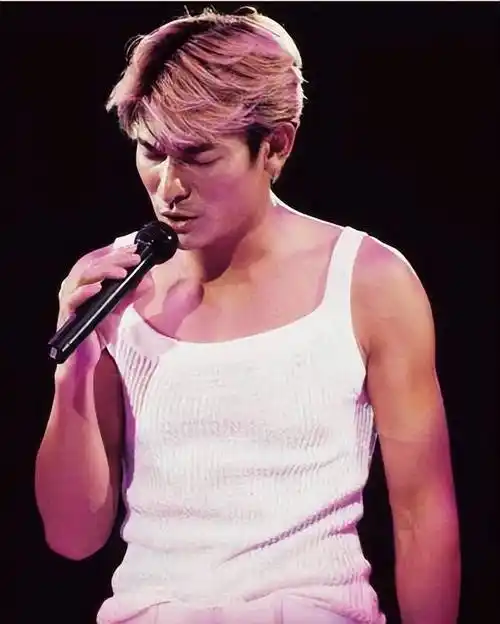 下面我们来看看华仔那些夸张的演唱会造型!