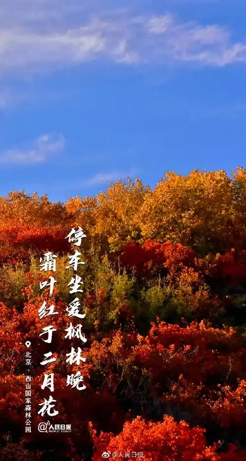 当秋日美景遇上古诗词##2021年深秋治愈系壁纸