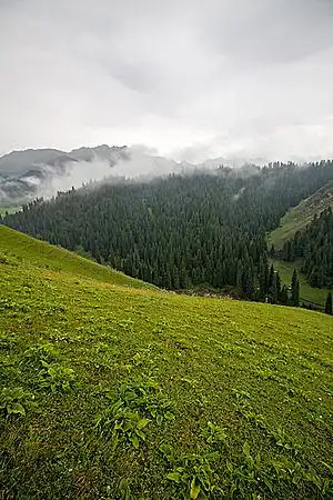 天山风光图片_图片大全
