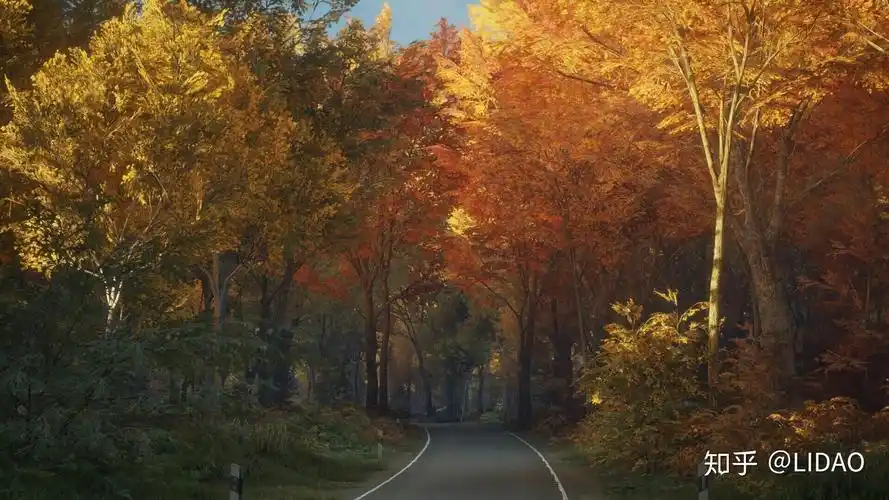 有没有超好看的全面屏壁纸