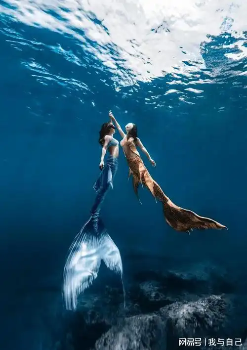 潜羽美人鱼是做什么的美人鱼的夏日